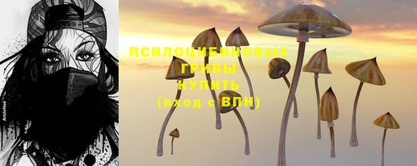 скорость Алзамай