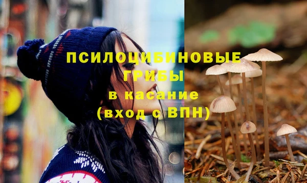стафф Алексин