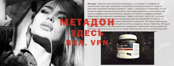 стафф Алексин