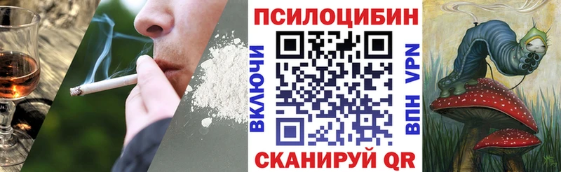 Псилоцибиновые грибы GOLDEN TEACHER  Краснозаводск 