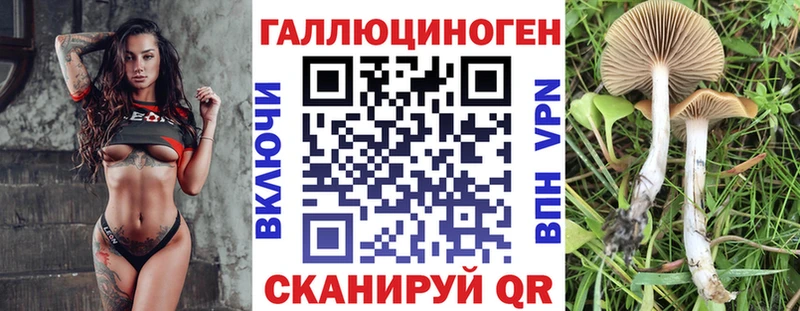 Псилоцибиновые грибы Psilocybine cubensis Краснозаводск